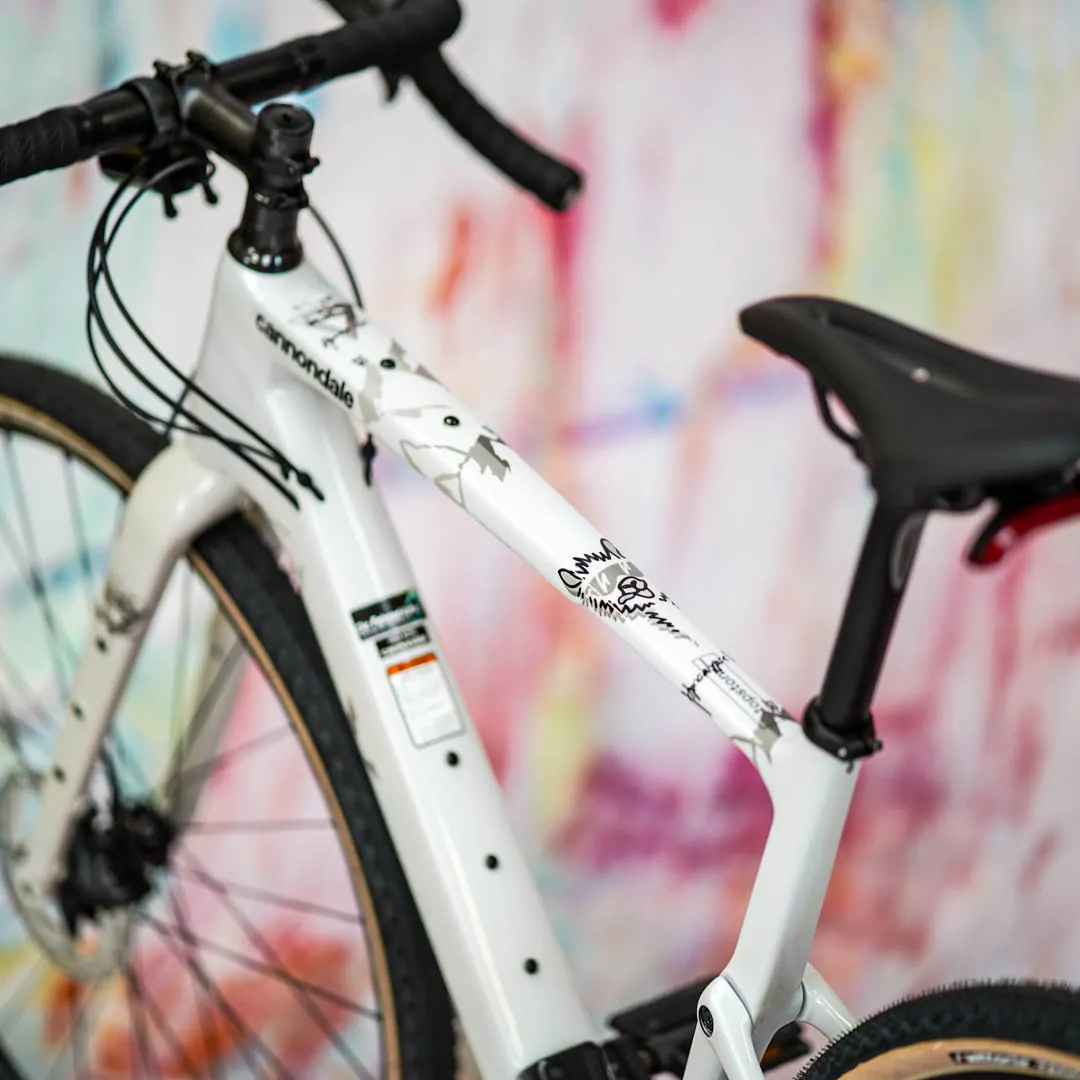 frame protection film Gravel Bike BPG01 Alpocalypse black matt - unleazhed