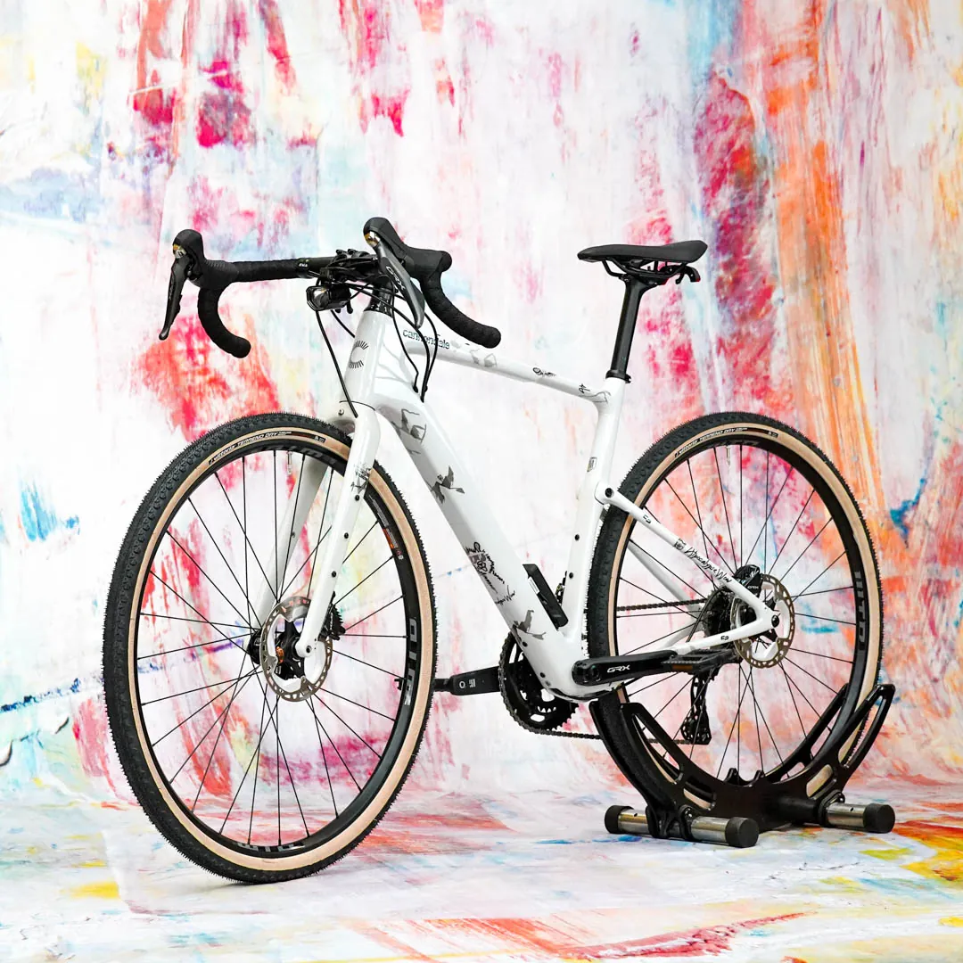 frame protection film Gravel Bike BPG01 Alpocalypse black matt - unleazhed