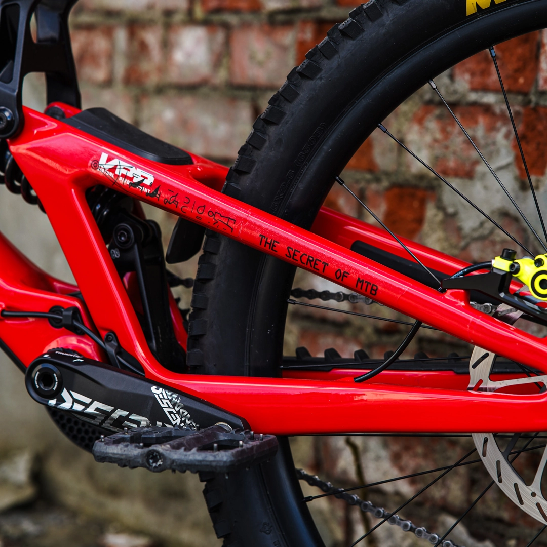 Frame Protection XXL Pharao black - unleazhed matt