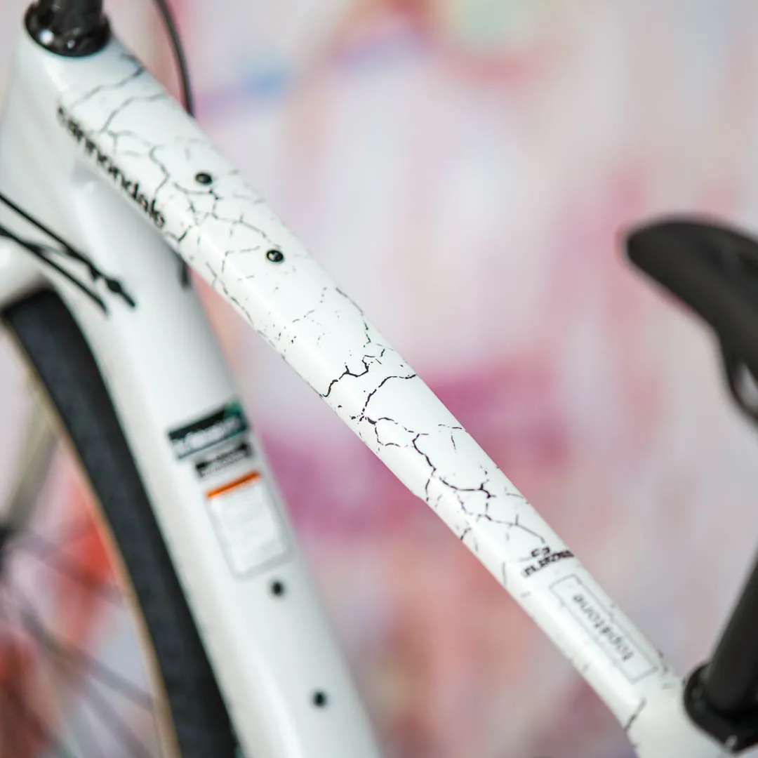 frame protection film Gravel Bike BPG01 Fragment black glossy - unleazhed