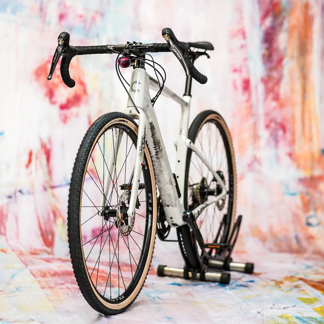 frame protection film Gravel Bike BPG01 Forest black matt - unleazhed