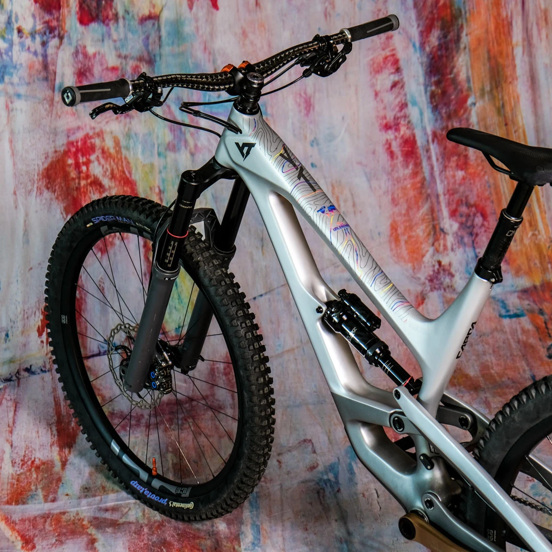 Frame Protection S Oberrohr Topolines color - unleazhed matt