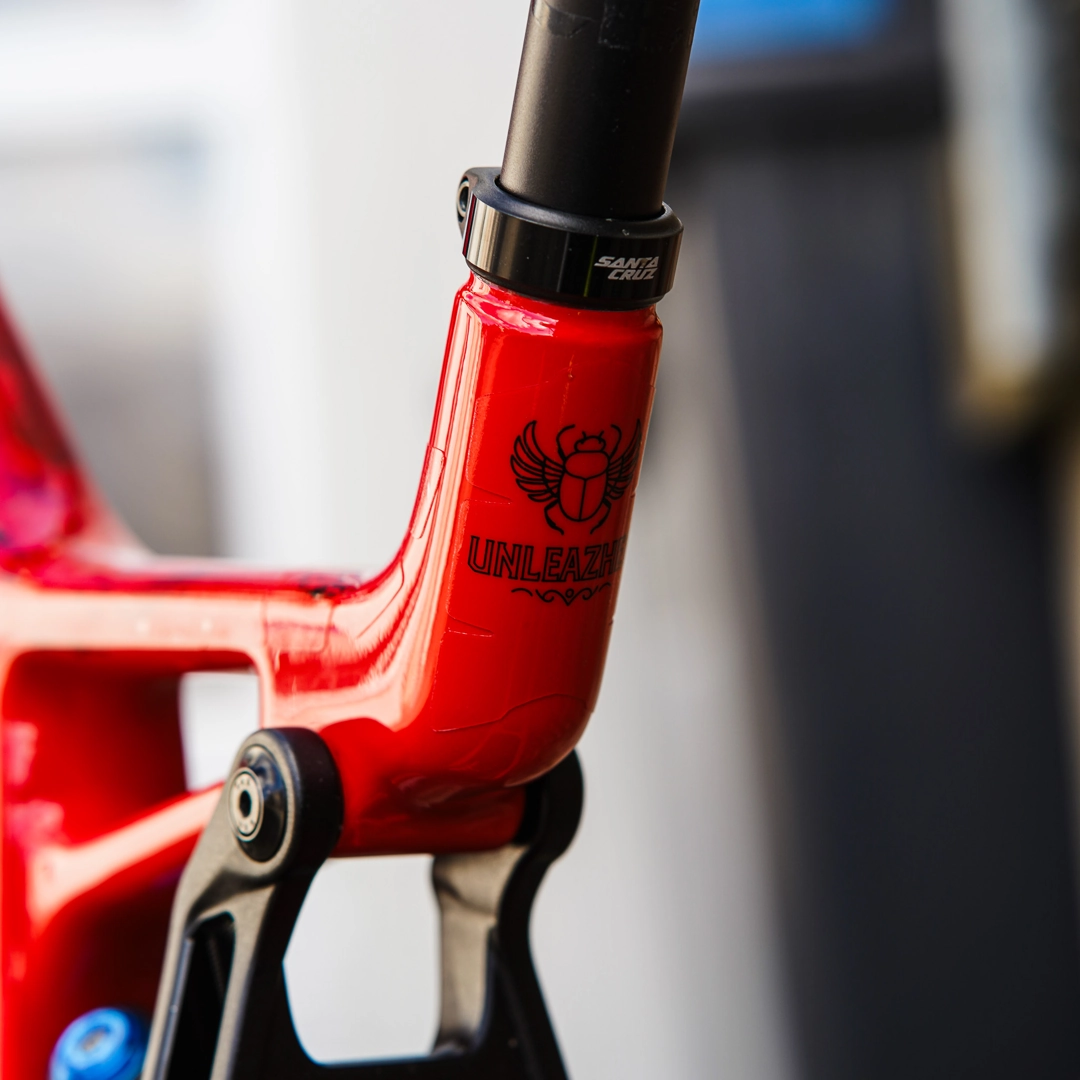 Frame Protection XXL Pharao black - unleazhed matt