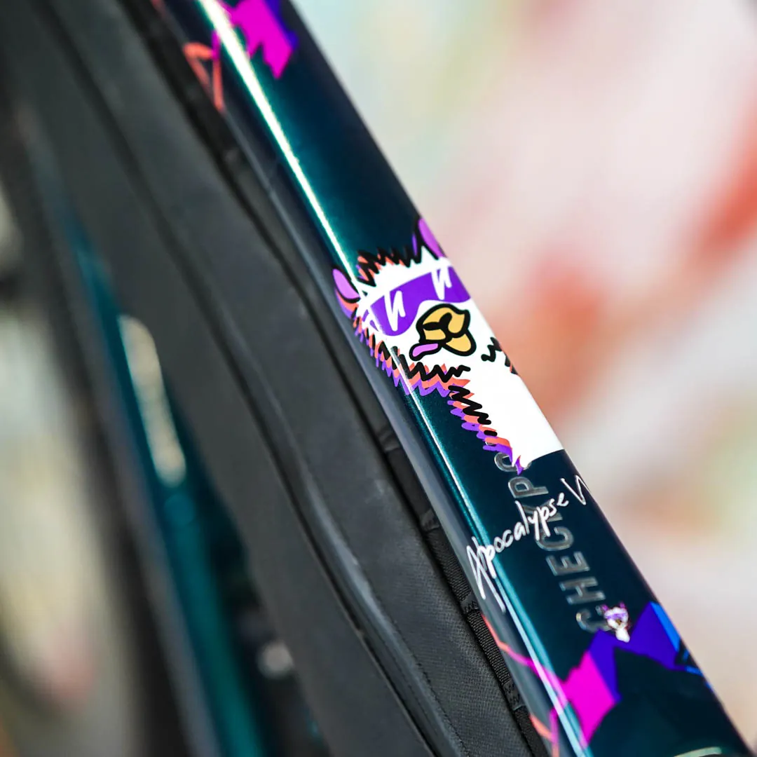 frame protection film Gravel Bike BPG01 Alpocalypse color matt - unleazhed