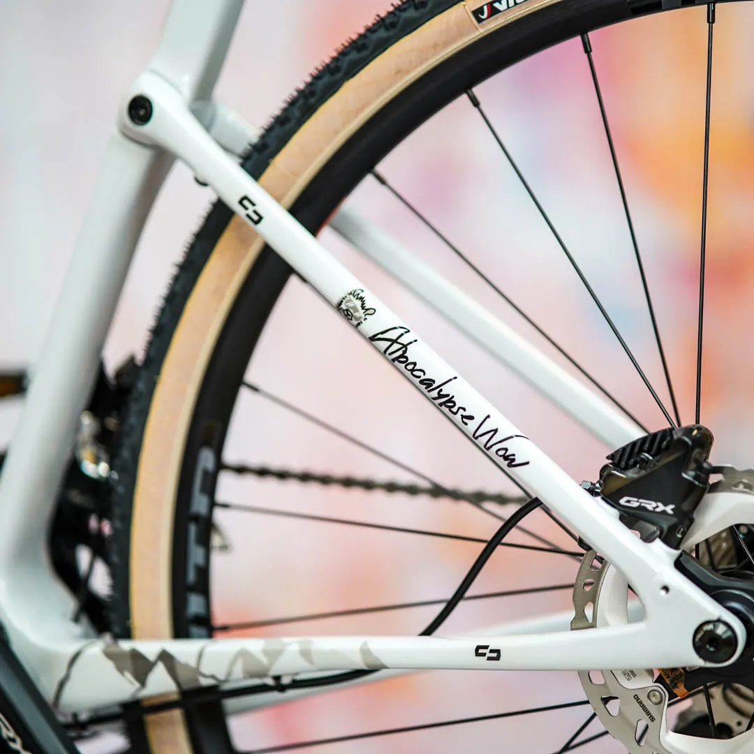 frame protection film Gravel Bike BPG01 Alpocalypse black matt - unleazhed