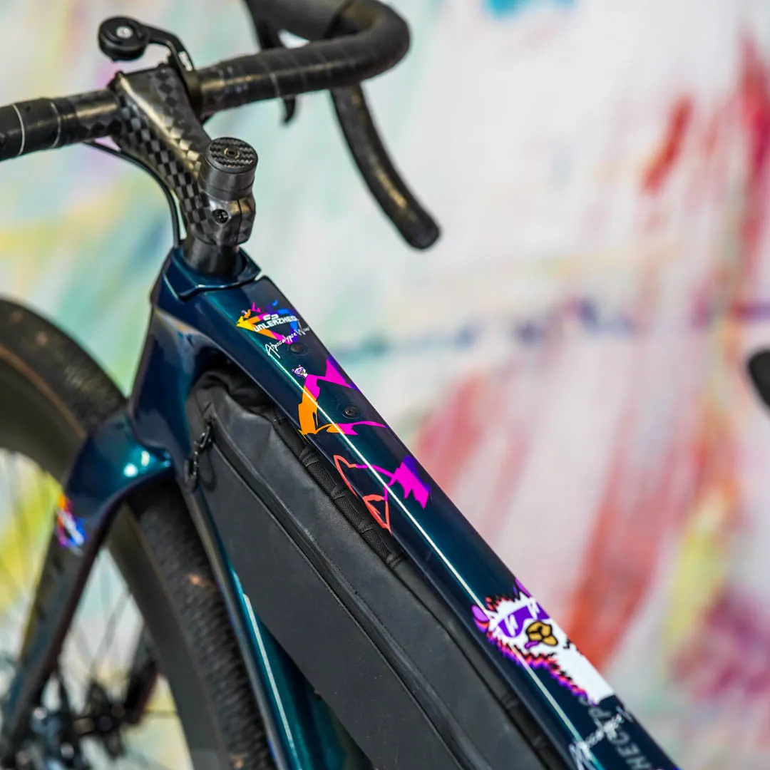 frame protection film Gravel Bike BPG01 Alpocalypse color matt - unleazhed