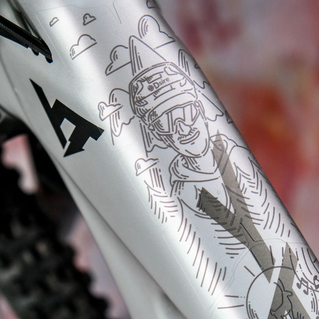 Frame Protection S Oberrohr glossy Alpin Culture Stefan Müller gray - unleazhed