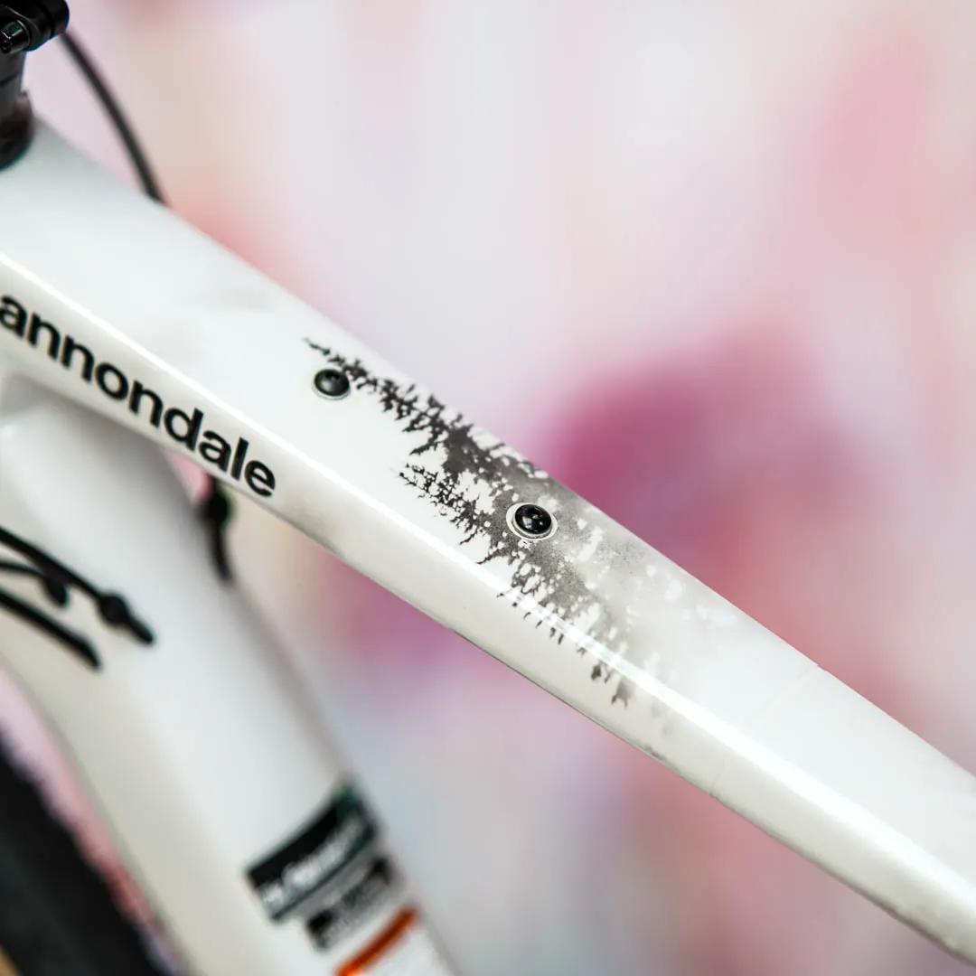 frame protection film Gravel Bike BPG01 Forest black matt - unleazhed