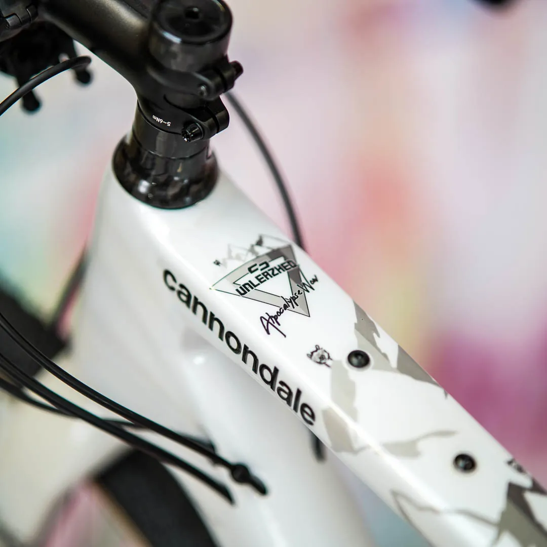 frame protection film Gravel Bike BPG01 Alpocalypse black matt - unleazhed