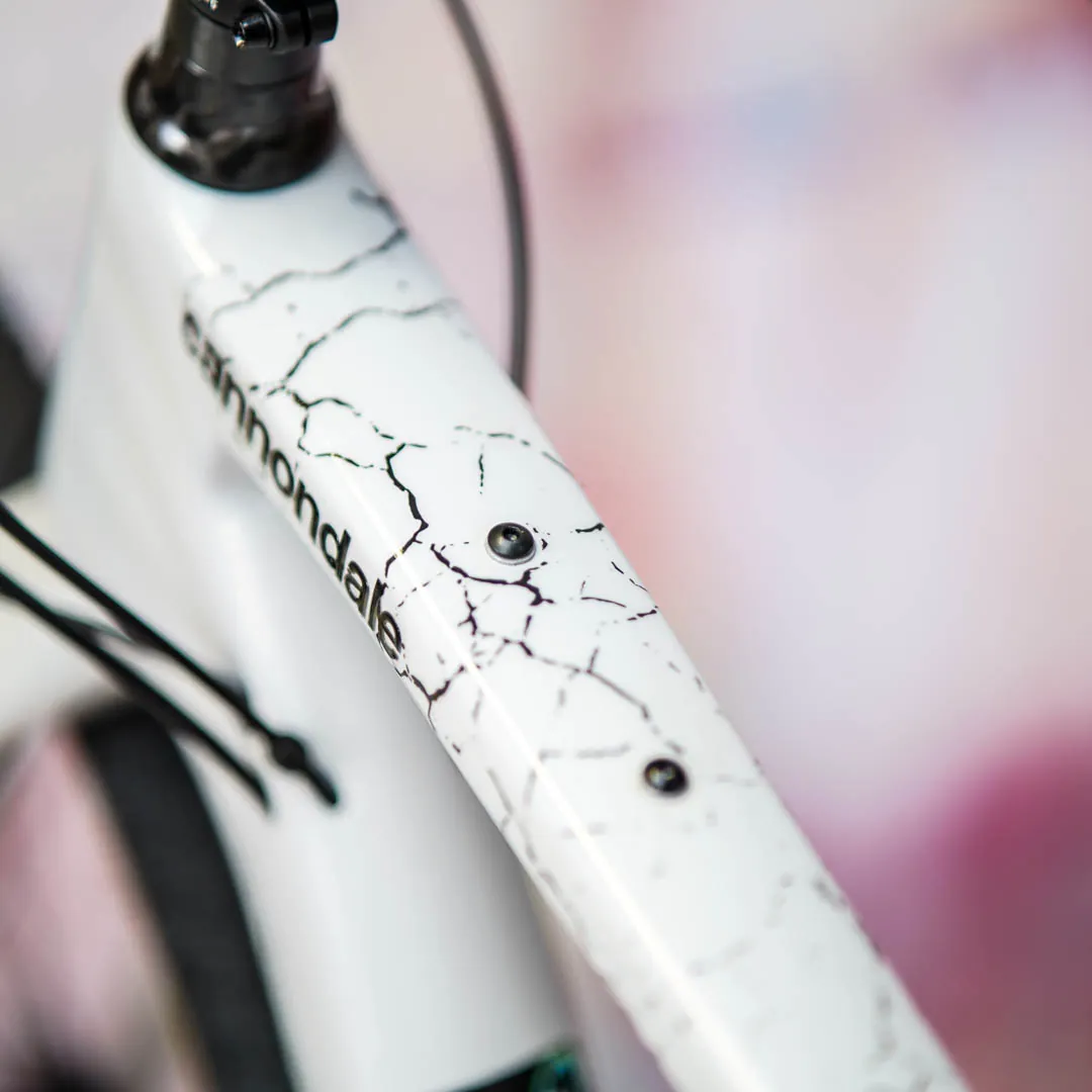 frame protection film Gravel Bike BPG01 Fragment black matt - unleazhed