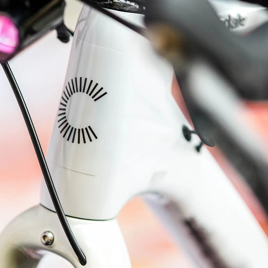 frame protection film Gravel Bike BPG01 Topolines black matt - unleazhed