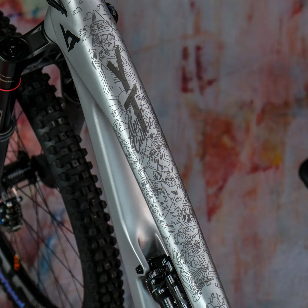 Frame Protection XXL matt Alpine Culture Stefan Müller gray - unleazhed