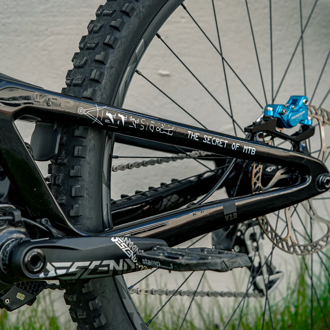 Frame Protection XXL matt Pharao white - unleazhed