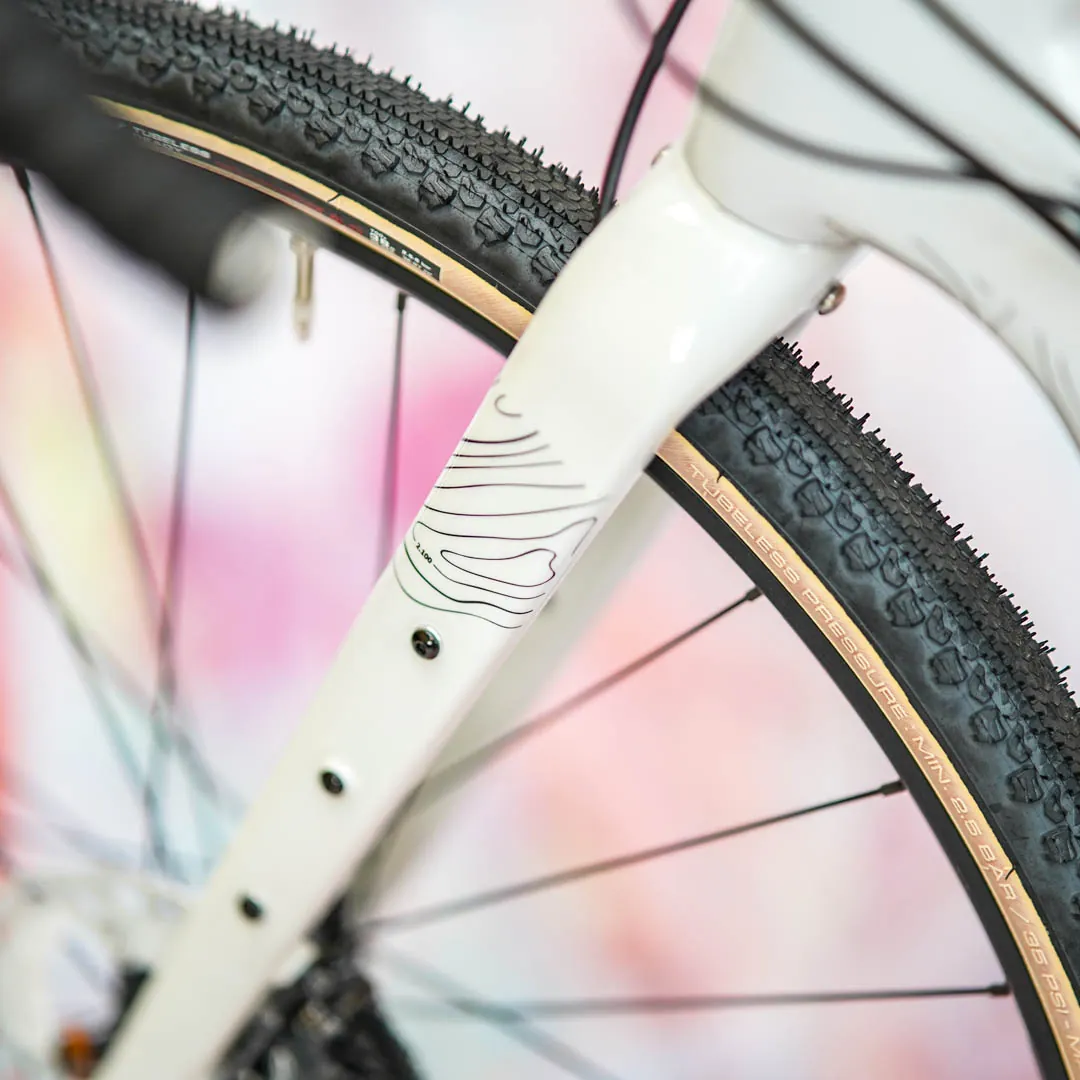 frame protection film Gravel Bike BPG01 Topolines black matt - unleazhed