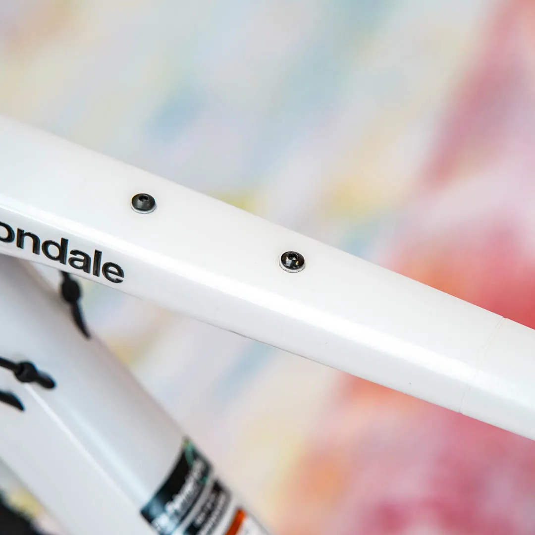 frame protection film Gravel Bike BPG01 clear matt - unleazhed