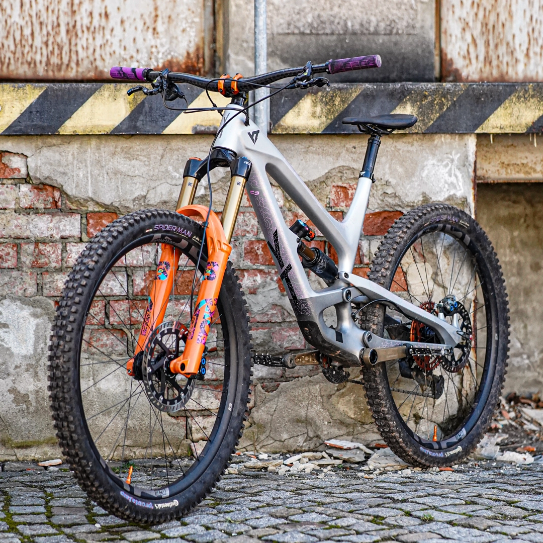 Frame Protection XXL Filigree rose - unleazhed matt