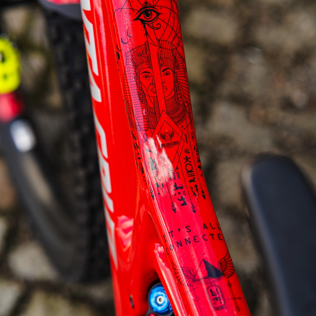 Frame Protection XXL Pharao black - unleazhed matt